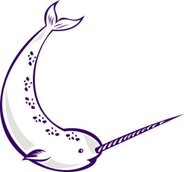 Narwhal Monodon monoceros unicorn whale clipart