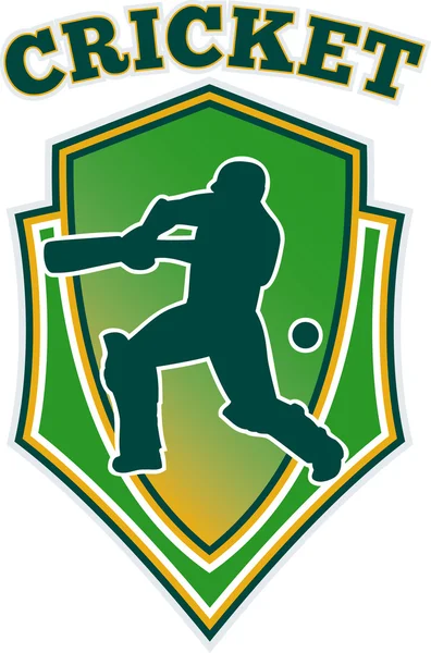 Cricket batsman batting shield — Stock Photo, Image