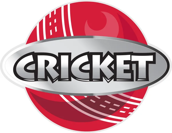 Bola de esportes de críquete — Fotografia de Stock