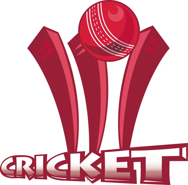 Cricket-Sportballkorb — Stockfoto