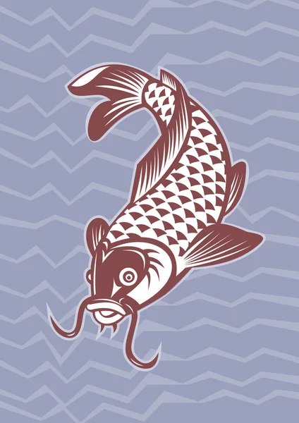 Koi-carp κολύμβηση κάτω — Φωτογραφία Αρχείου