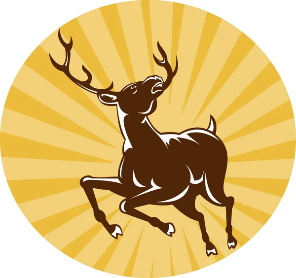 Stag deer jumping — Stock Photo, Image
