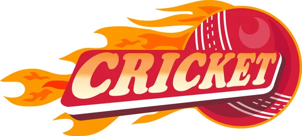 Cricket sports ball flames — Stock Photo, Image