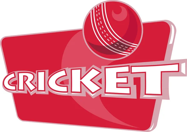 Cricket sports ball — Stock Photo, Image