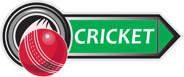 Cricket sport bal — Stockfoto