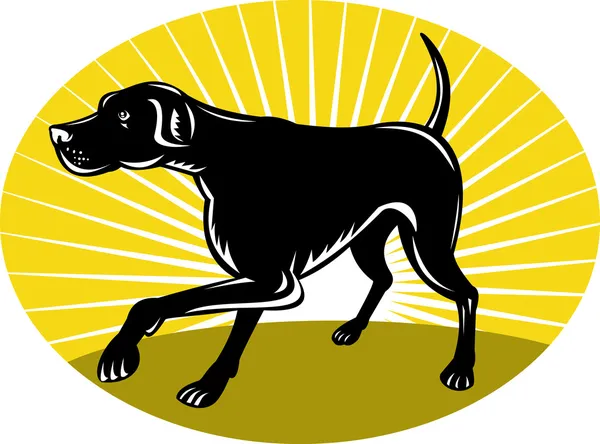 サンバースト レトロなスタイルを持つポインター犬 — ストック写真