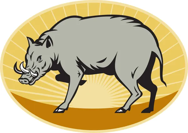 Babirusa ataque de porco selvagem — Fotografia de Stock