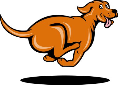 Köpek Koşusu