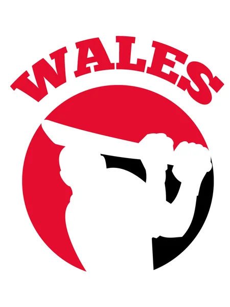 Gracz krykieta odbijający mrugnięcia retro Walii — Zdjęcie stockowe