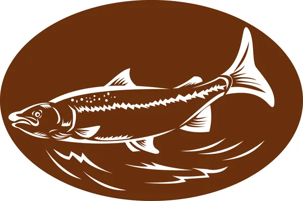 斑点の斑点のあるマス魚レトロな木版画 — ストック写真