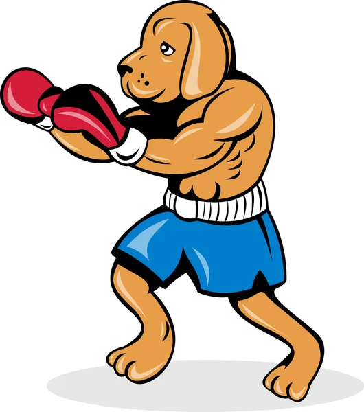 Боксерская собака в перчатках — стоковое фото