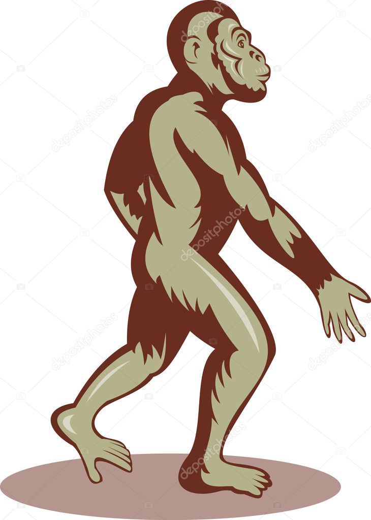 Prehistoric man or ape walking upright