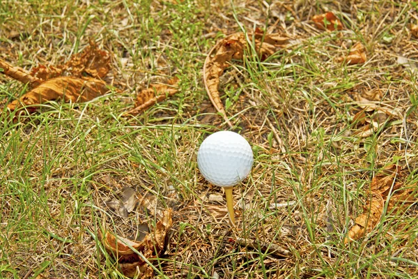 М'яч для гольфу — стокове фото