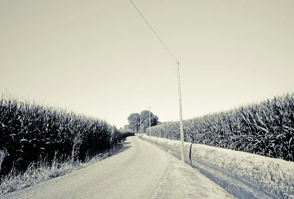 Straße in den Feldern — Stockfoto