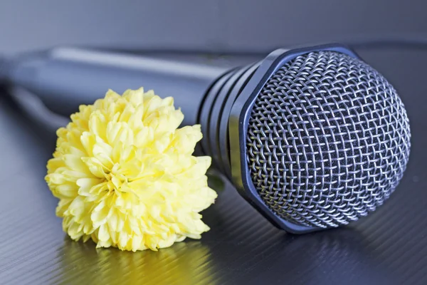 Микрофон и цветок — стоковое фото