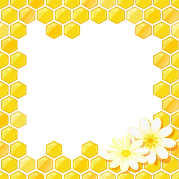 Cadre en nid d'abeille avec fleur — Image vectorielle