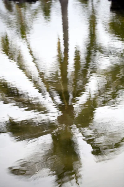 Reflektion av palm tree i havet vatten damm — Stockfoto