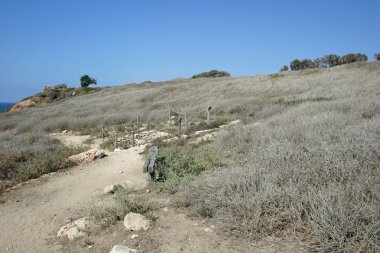 lavendar alanları