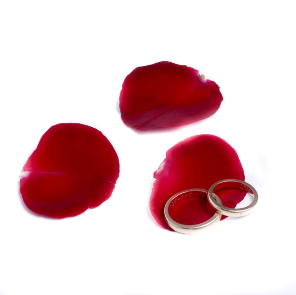 Red petals and rings — Stock Photo, Image