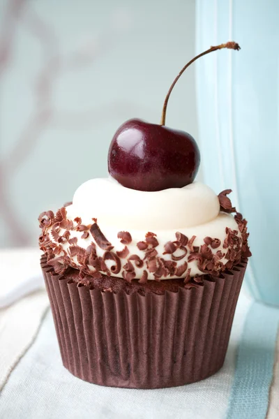 Fekete-erdő cupcake — Stock Fotó