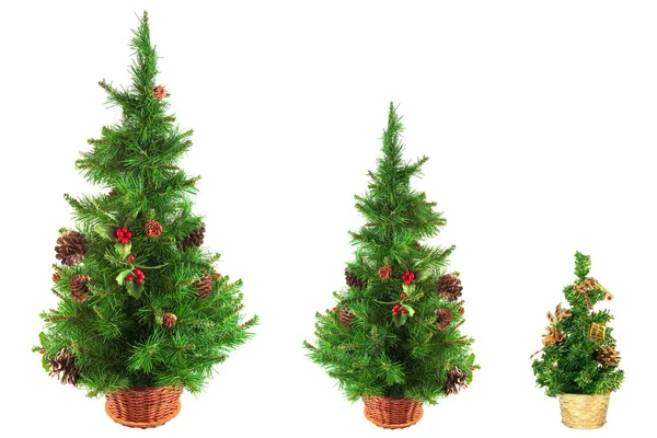 Drie kerstbomen — Stockfoto
