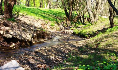 ormandaki Creek