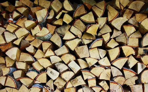 Yakacak odun yığını — Stok fotoğraf
