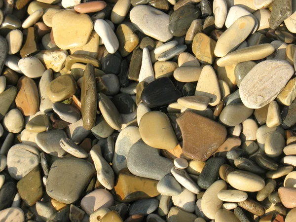 Pedras de praia — Fotografia de Stock