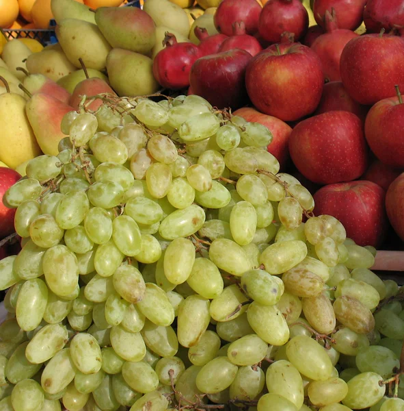 Racimos de uvas maduras —  Fotos de Stock