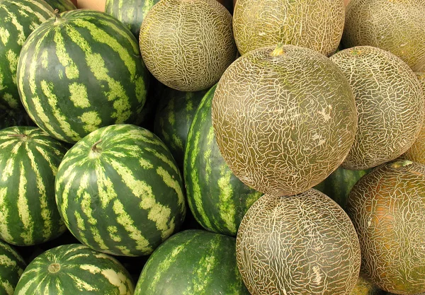 Melons and watermelons — Stock Photo, Image