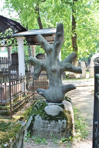 Надгробие между деревьями — стоковое фото