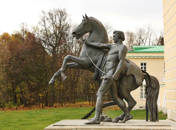 Standbeeld van een paard in kuzminki — Stockfoto