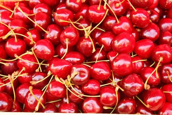 stock image Ripe red cherries