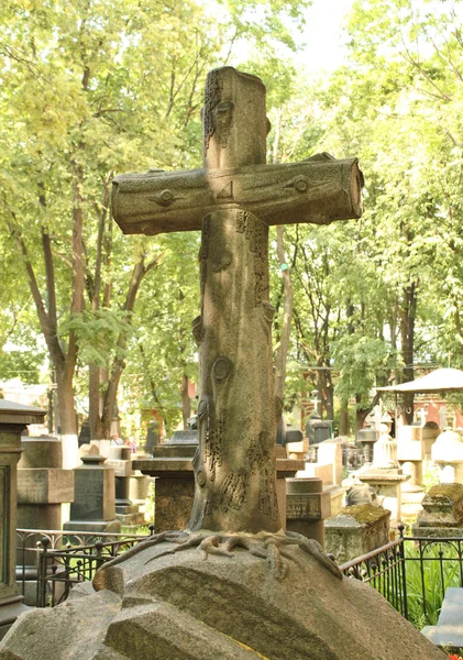 Tombstone between trees — Stock Photo, Image