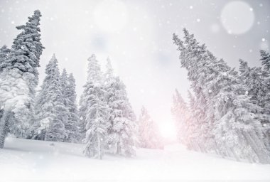 Winter landscape with snow clipart