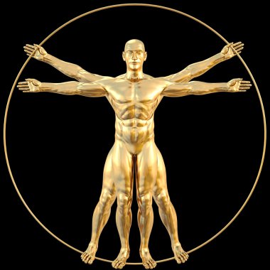 Vitruvian clipart