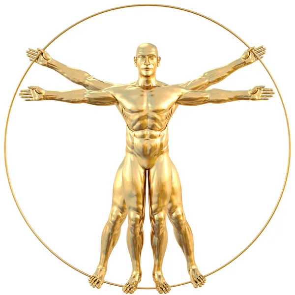 stock image Vitruvian