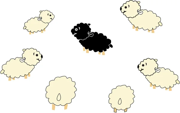 Schwarze und weiße Schafe. — Stockvektor