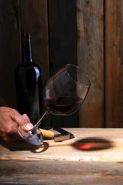 Winemaker's hand with glass — Stock Photo, Image