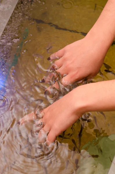 Fish therapy — Stock Photo, Image