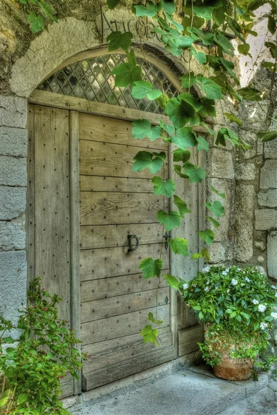 stock image Vintage wooden door