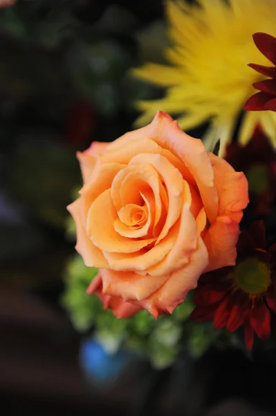 Oranžová svatební květina — Stock fotografie