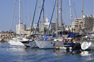 yelkenli tekne palamarla maryna bay harbour, larnaca, Kıbrıs