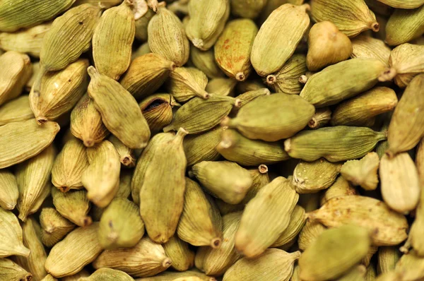 stock image A lot of green cardamom seed pods