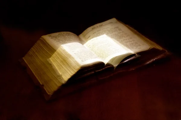 Oud boek: Heilige Bijbel — Stockfoto