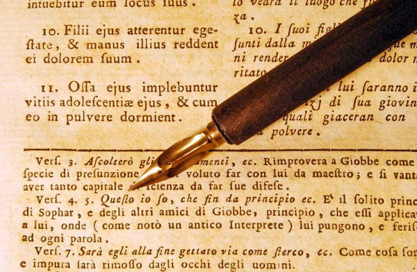 NIB (pen) over een oud boek — Stockfoto