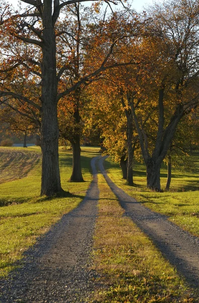 stock image Country Road