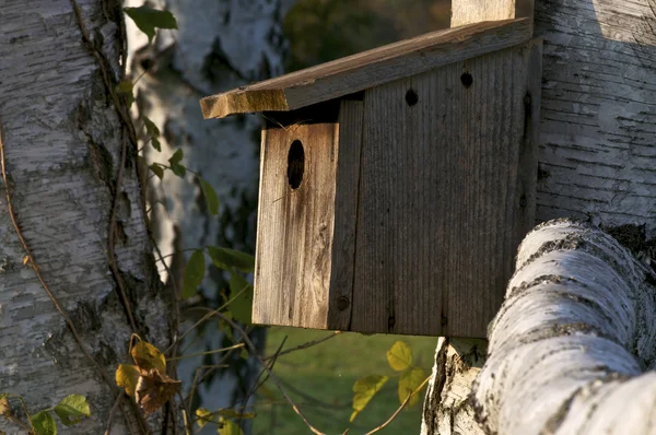 Birdhouse en bois — Photo