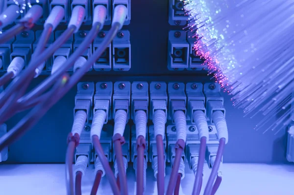 Schot van netwerkkabels en servers in een datacenter technologie — Stockfoto