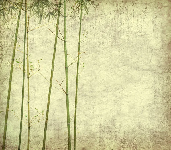 Bambou sur vieux papier grunge texture antique — Photo